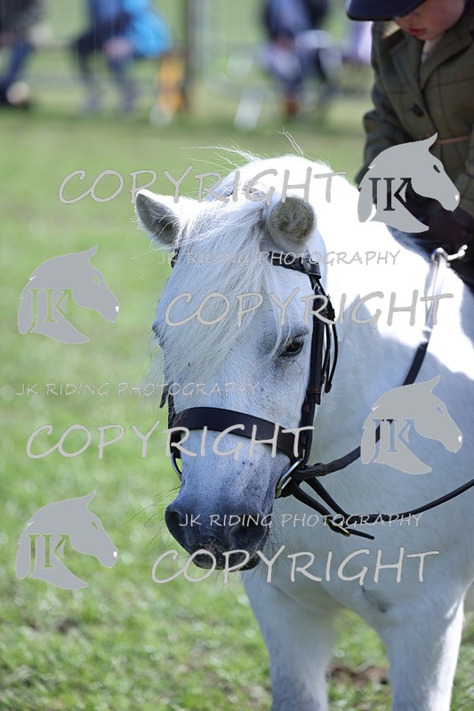 APP_3888 - Class 13 Lead rein