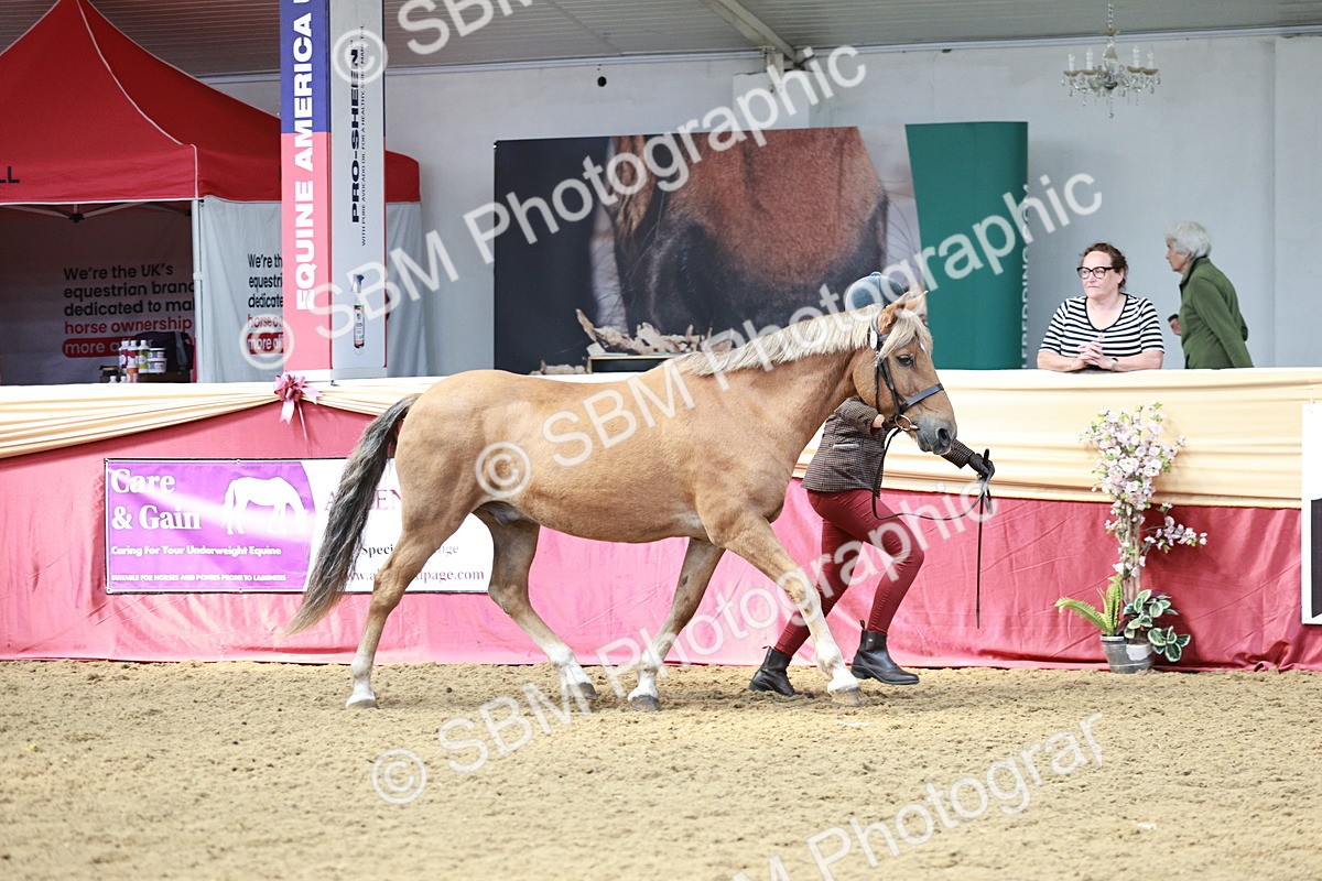 SBM_04725 - Class 7R - Regional IH Diamond