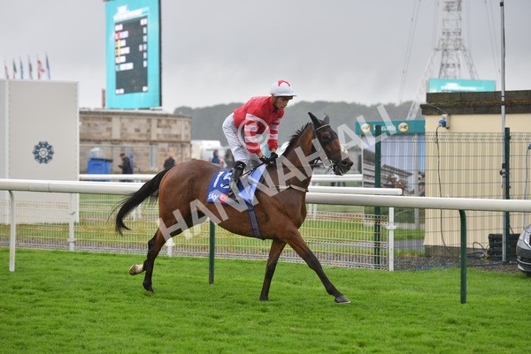 yr21082021r4-59 - Race 4 3.35pm Sky Bet Ebor