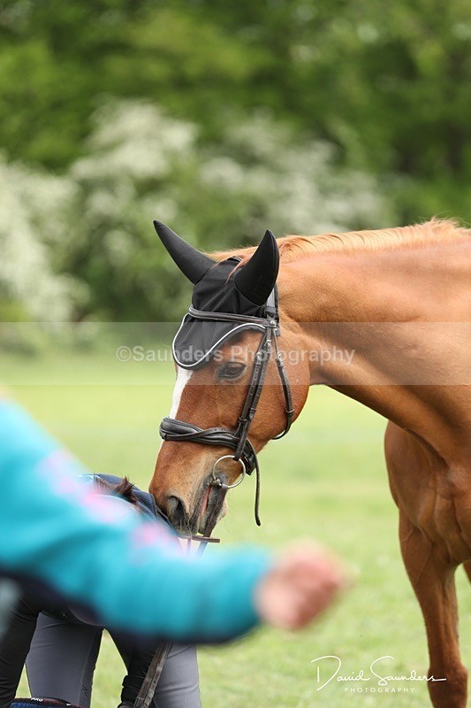 DSP29753 - Venue & Vetting