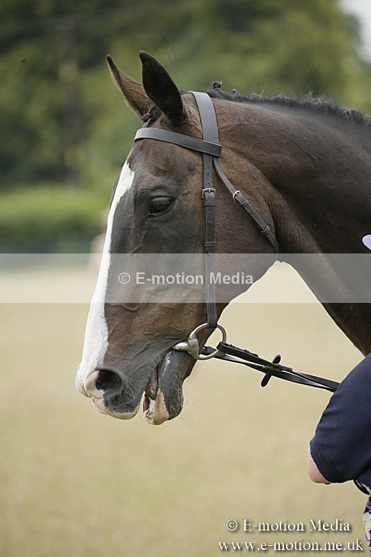 B230619-0240 - Bourne Valley Riding Club Summer Show 23/06/19