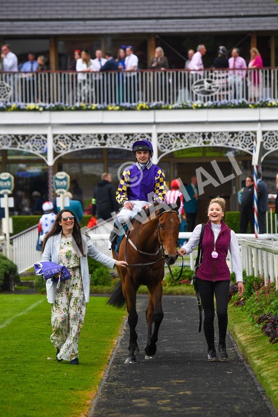 190523-Race 6-Eligible-0849 - Race 6 4.45pm Yorkshire Equine Practice Handicap