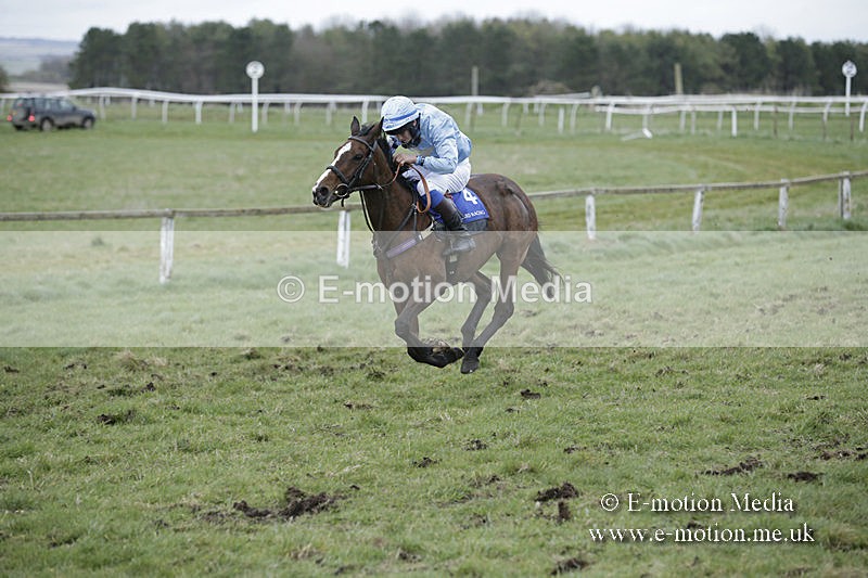 PtP 150320 0895 - New Forest Point-to-Point Larkhill 15/03/20