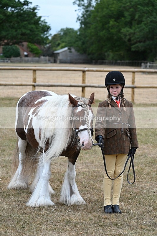 WJ7_8148 - Class 4 Prettiest Mare up to 14.2hh