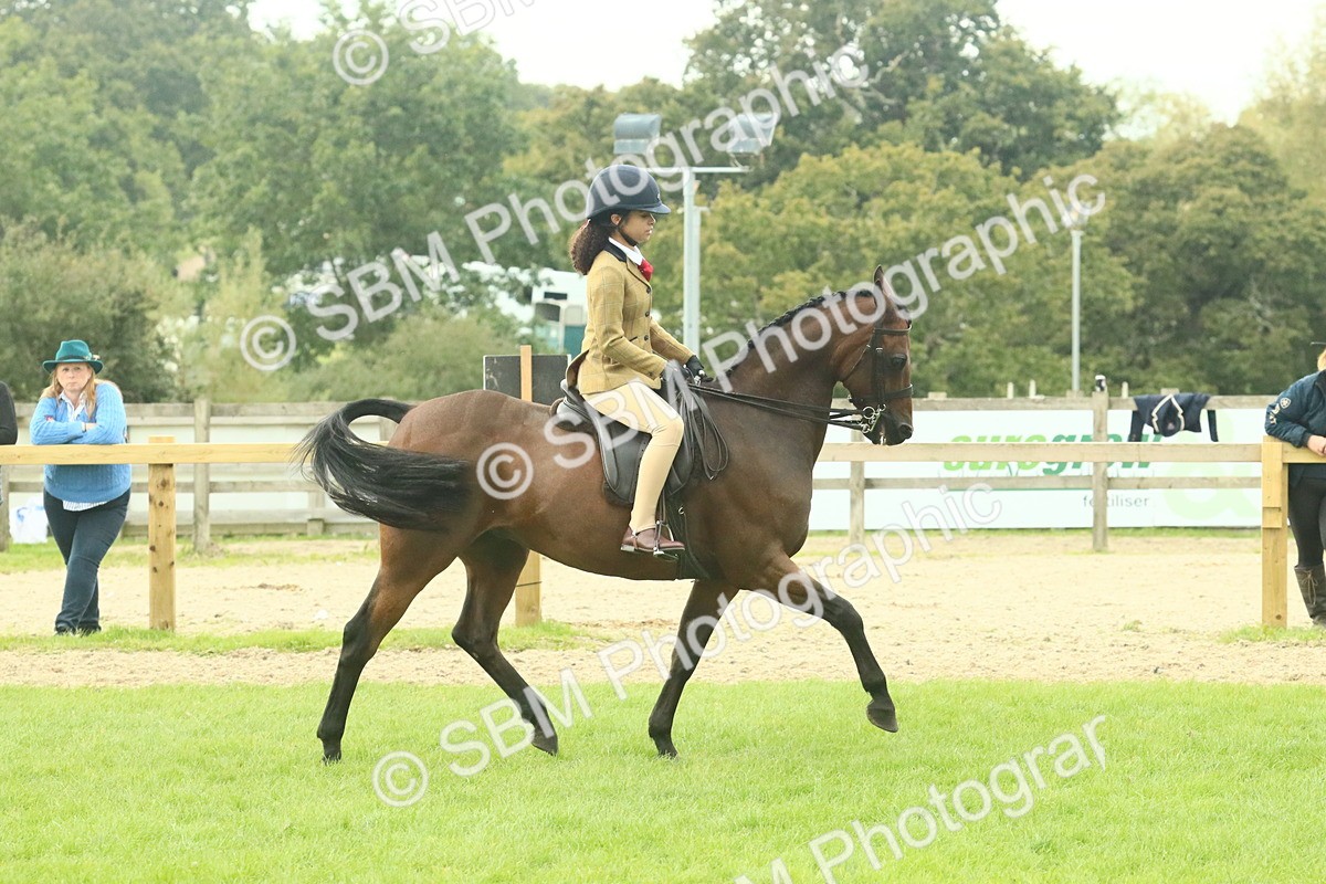 SBM_74074 - S 61 - Show Pony & Show Hunter Pony Ridden