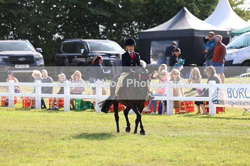 3E7A3977 - Supreme Championship