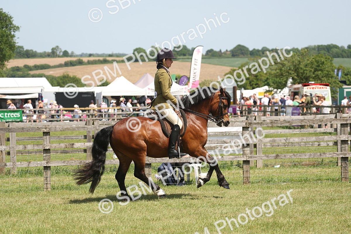 SBM_06925 - Class 26-30 - Mountain and Moorland Ridden