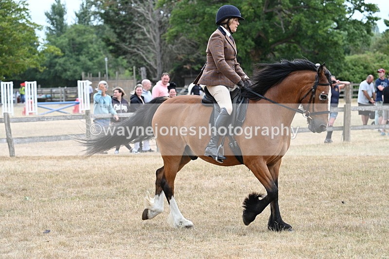 WJ7_0574 - Class 6 Ridden Mountain and Moorland