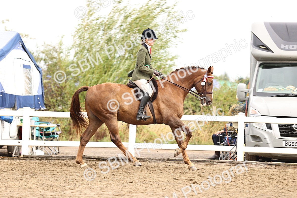 SBM_00708 - Class 53 - Ridden Competition Horse Pony