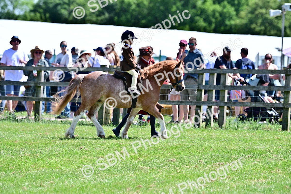 SBM_05757 - Class 59-60 - TSR M&M  Lear Rein and First Ridden Amateur of the year
