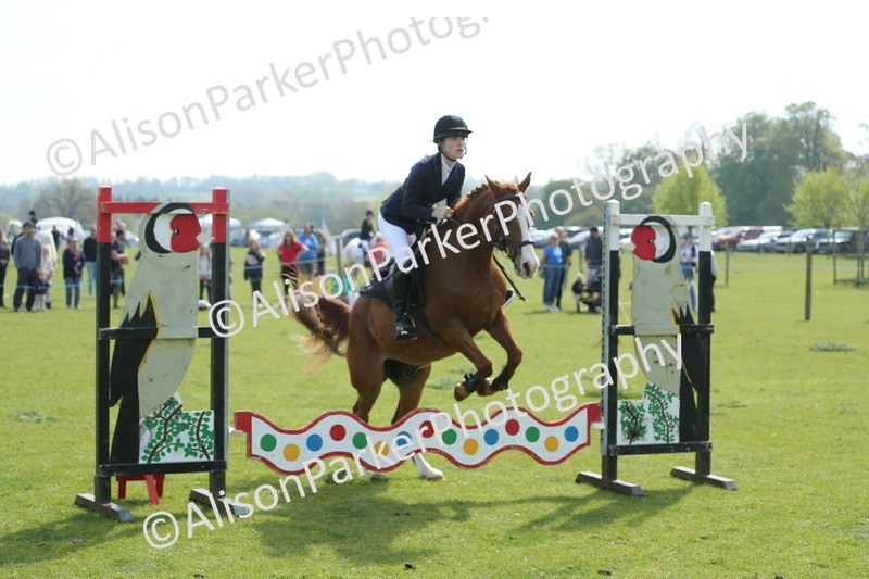 20260426-1501 - Class 14 - Novice 60cm