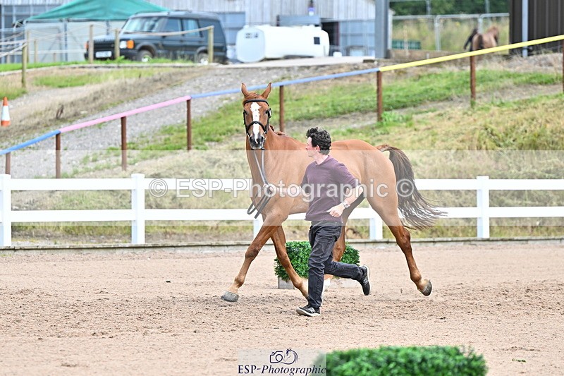 240718A-105309-01630 - Trot Up 1pm to 2pm