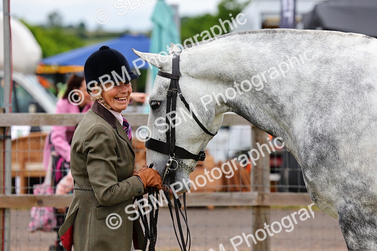 SBM_02542 - Class 9-11 Side Saddle including LIHS Rising Star Ladies Show Horse