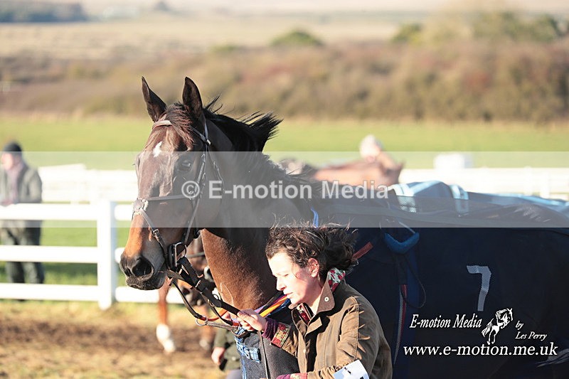 PtP 101223 1074 - New Forest Hounds PtP Larkhill 10/12/23