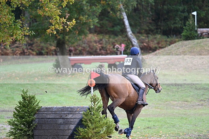 WJ7_5374 - Time 13:00 to 13:18