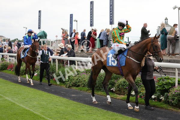 yr20082021r7-10 - Race 7 5.10pm Sky Bet Mile