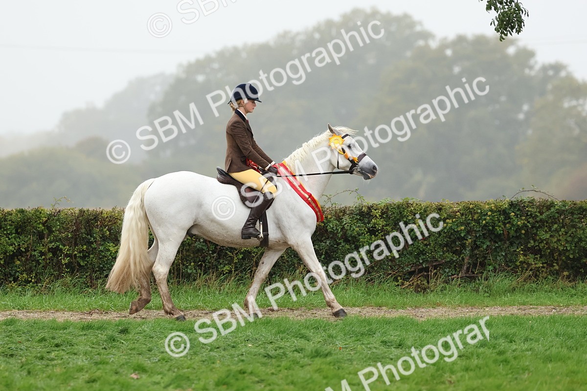 SBM_73177 - Super Supreme Championship(Sun)