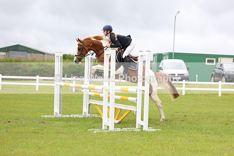 3E7A6702 - Class 10: Pony Newcomers/1m open