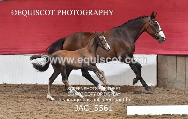 JAC_5561 - 13 Zi Real McCoy