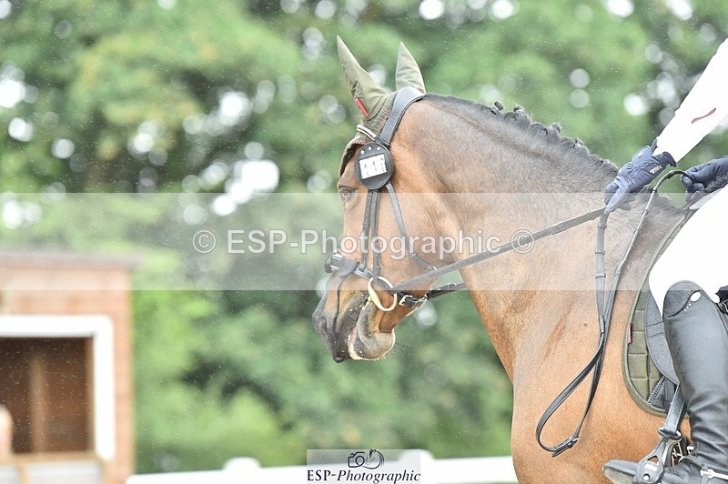 250622-120458-14461 - Quest Cls 31-35 Novice Tests