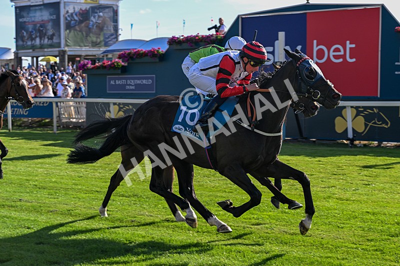 240726-Race 2-Vaguely Royal-5125 - Race 2 18.05pm Elevator Company Handicap