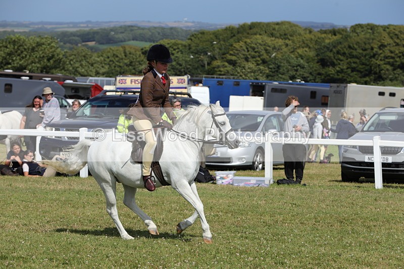 1X9A5755 - Class 40: NPS Welsh A & B