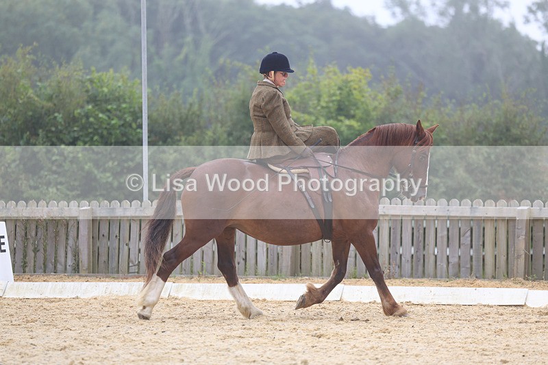 3E7A6868 - Class 5: Prelim to Music