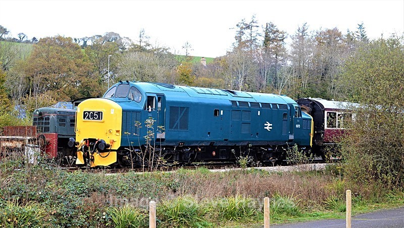5th Nov 2017 - South Devon Railway, Buckfastleigh to Totnes, Devon