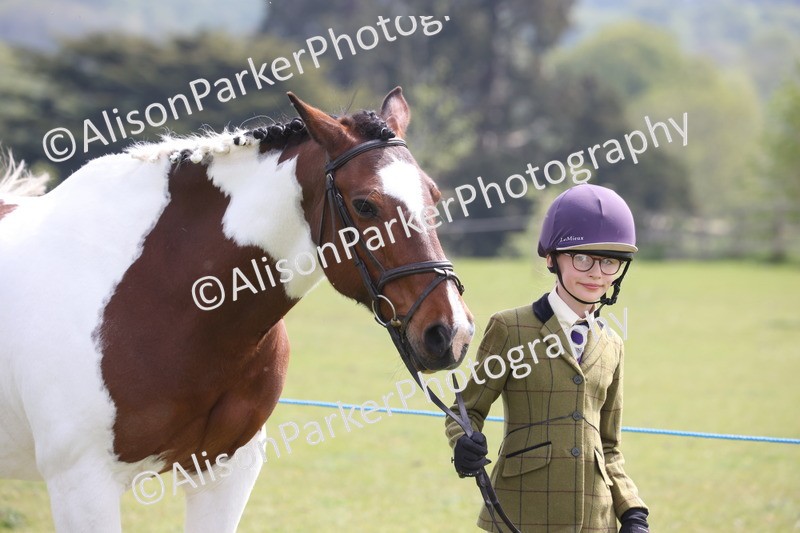 20260426-3295 - Class 27 - Coloured Horses and Ponies
