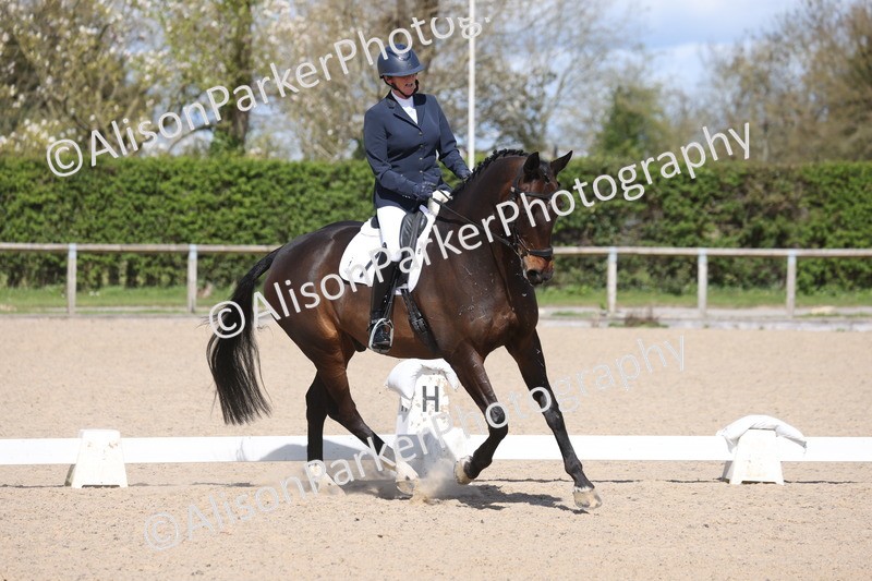 20260405-0569 - Class 7 - Medium 5