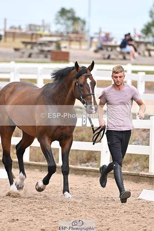 250716-163040-02657 - Trot Up 4.30 to 5.00