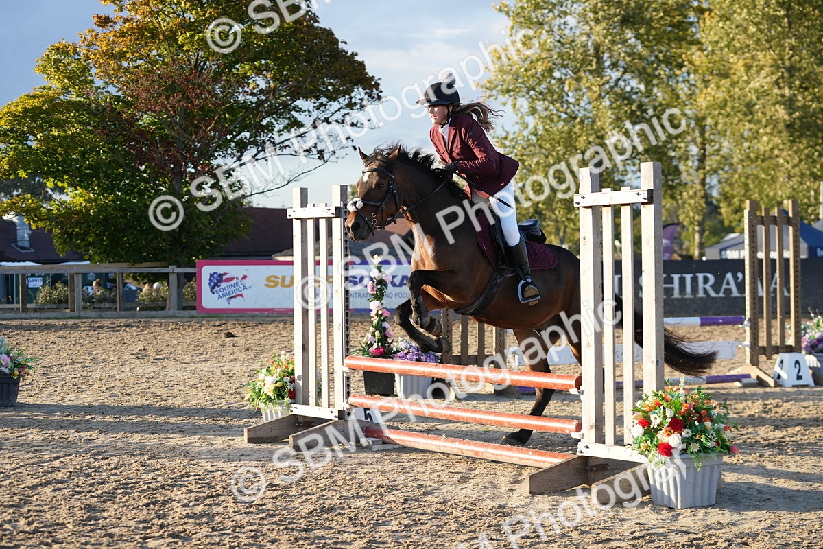 SBM_54157 - Supreme Championship 60cm 65cm