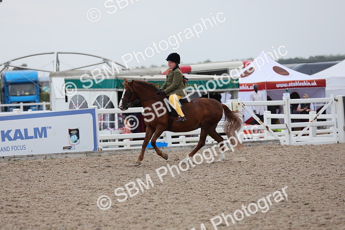 SBM_18169 - Class 316 Best Pony/Rider Combination