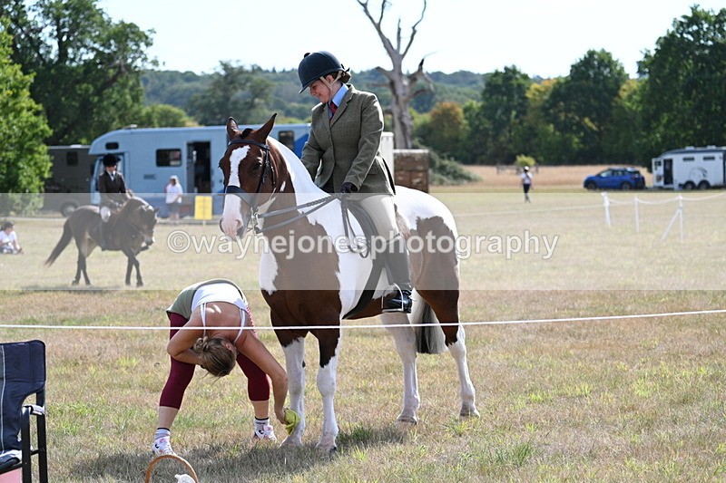 WJ7_2653 - Class 8 Ridden Tack & Turnout