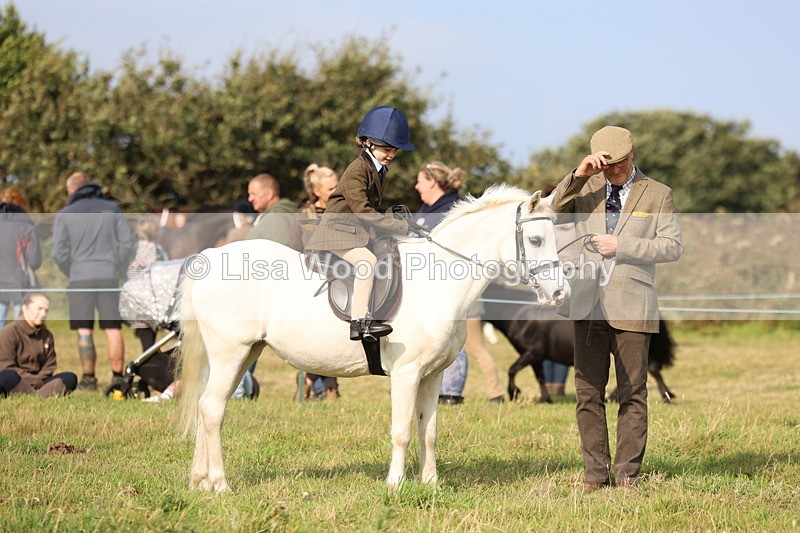 3E7A3708 - Class 2: Lead rein