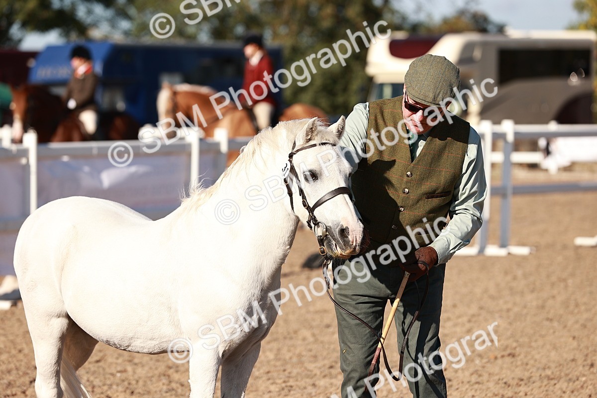 SBM_11439 - Class 402 - IH  Veteran pony