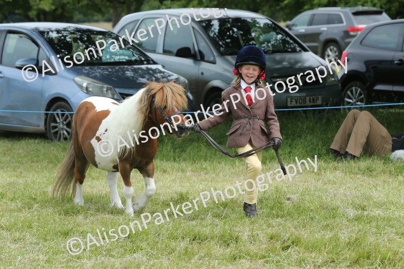 20260614-4260 - Class 18 - Best Junior Handler