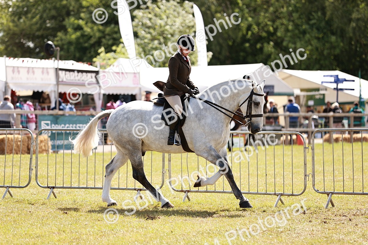 SBM_14014 - Class 85-87 - RIHS Cobs