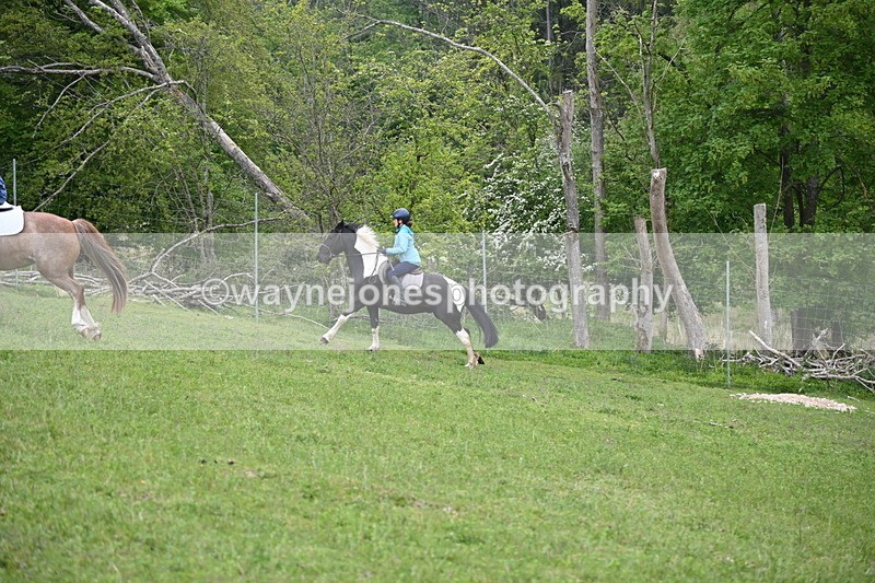 WJ6_3061 - A Camera