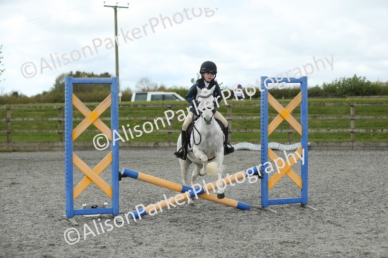 20260412-0696 - Show Jumping