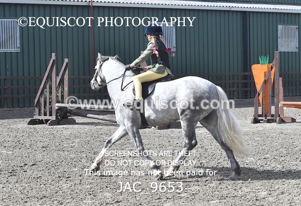 JAC_9653 - CLASS 1 Nursery Novice Working Hunter (0.50m)