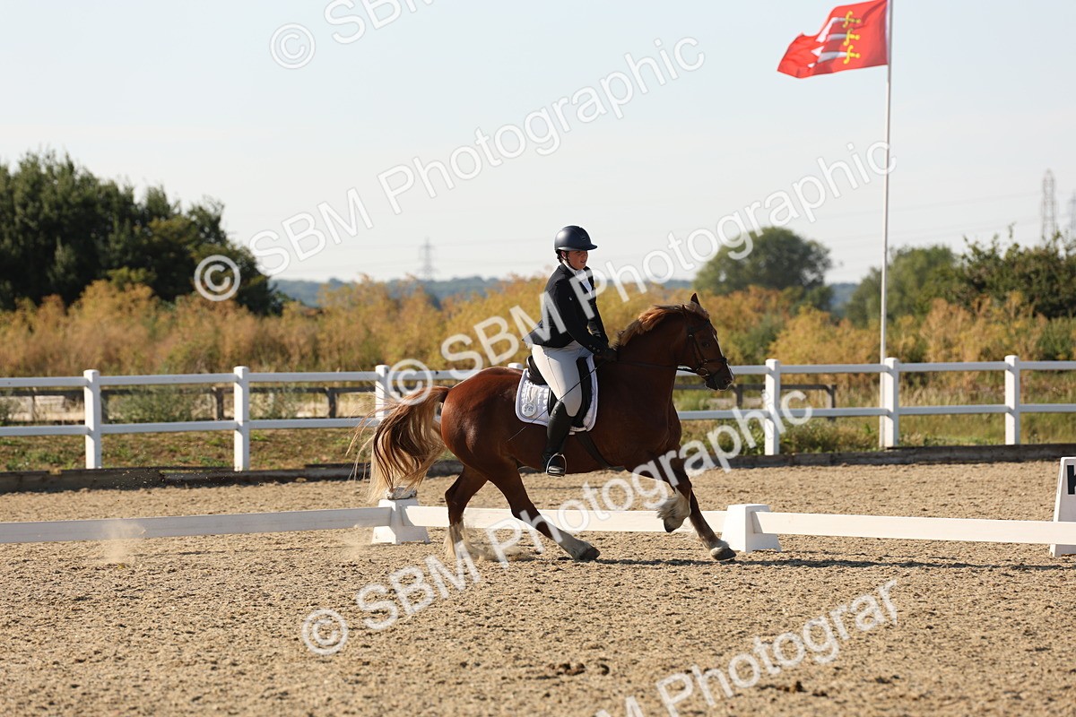 SBM_007055