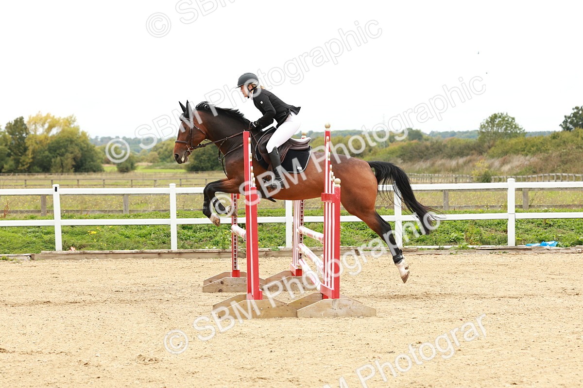 1I0A6787 - Class 2 - Senior British Novice
