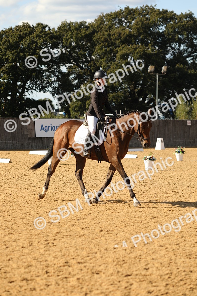 SBM_26813 - D17 - Grand Tour Championship - Novice 27