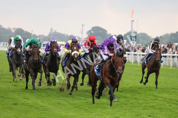 yr09102021r1-39 - Race 1 1.30pm Watch Racing Free Online At Coral Nursery Handicap