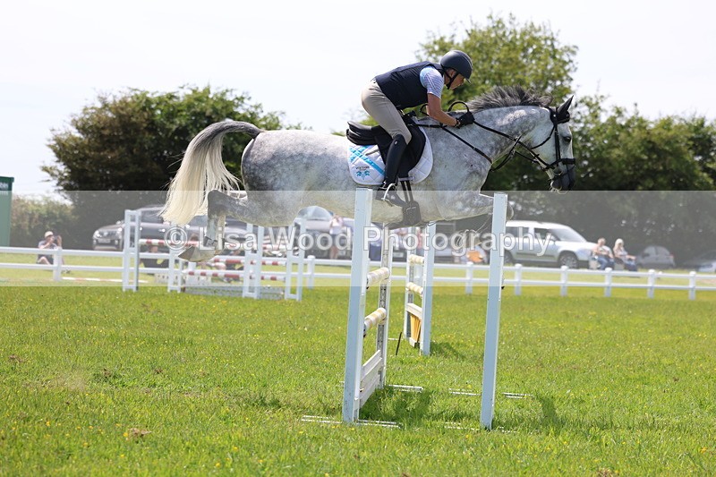 3E7A1335 - Class 12: Senior Foxhunter/1.20 open