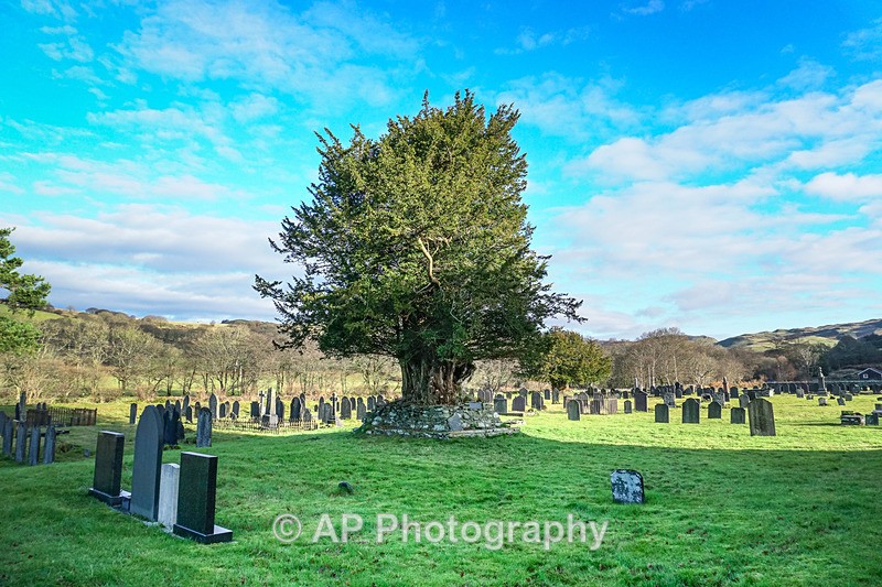 ACP02044-1 - Strata Florida Abbey