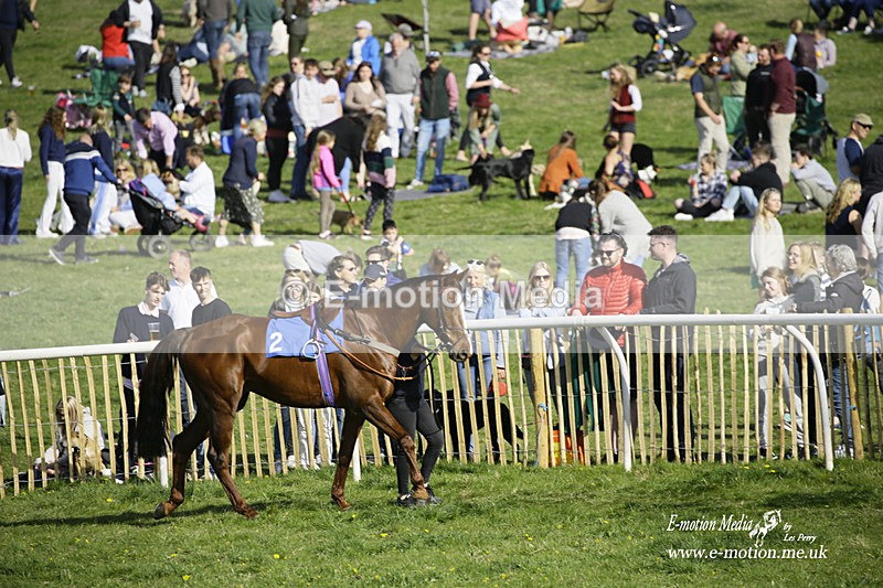 PtP 180422 305 - Old Berkshire PtP Lockinge 18/04/22