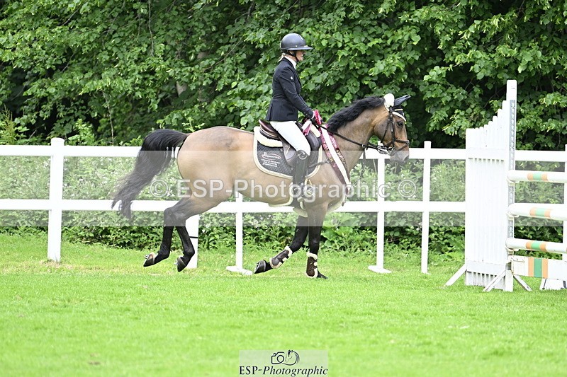 250613A-135840-02434 - Cls 3 Snr Foxhunter