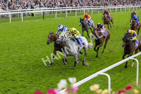 230824-Race 1-Shadow Dance-8305 - Race 1 1.50pm Sky Bet Handicap